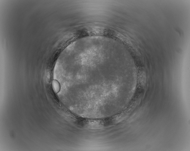 X0000111630709200908281134