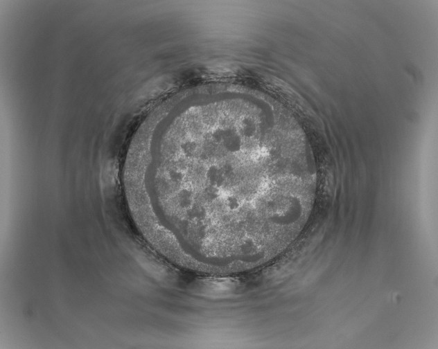 X0000111630711200908281134
