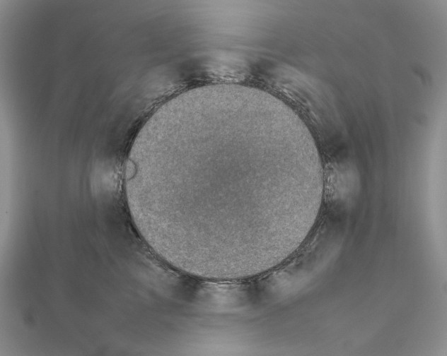 X0000111630713200908281134