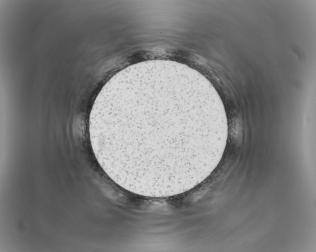X0000111630715200908281134