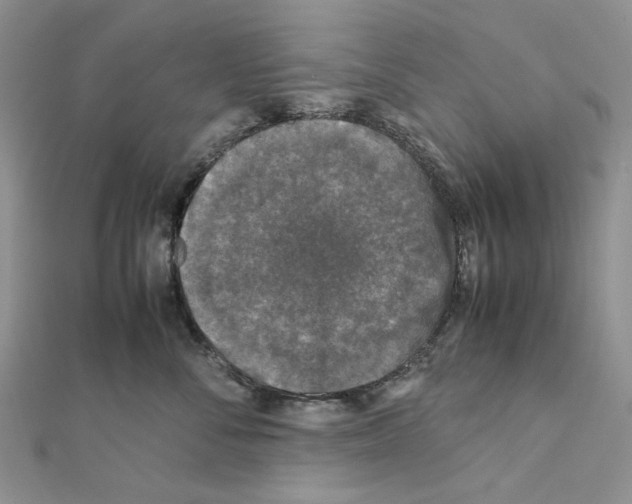 X0000111630716200908281134