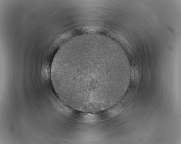 X0000111630718200908281134