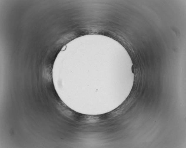 X0000111630719200908281134