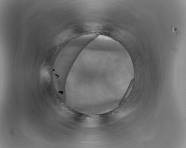 X0000111630720200908281134