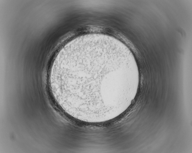 X0000111630722200908281133