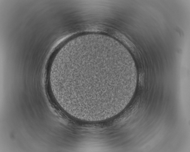 X0000111630724200908281133