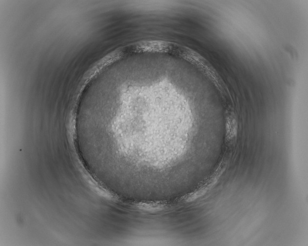 X0000111630725200908281133