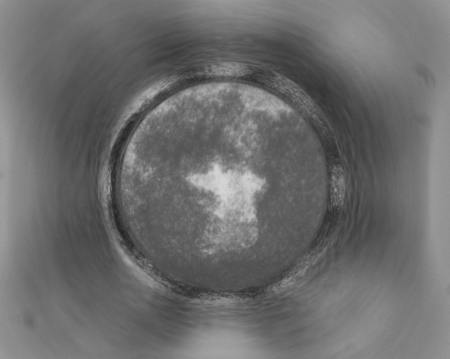 X0000111630726200908281133
