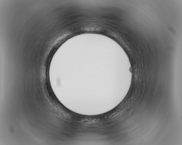 X0000111630727200908281133