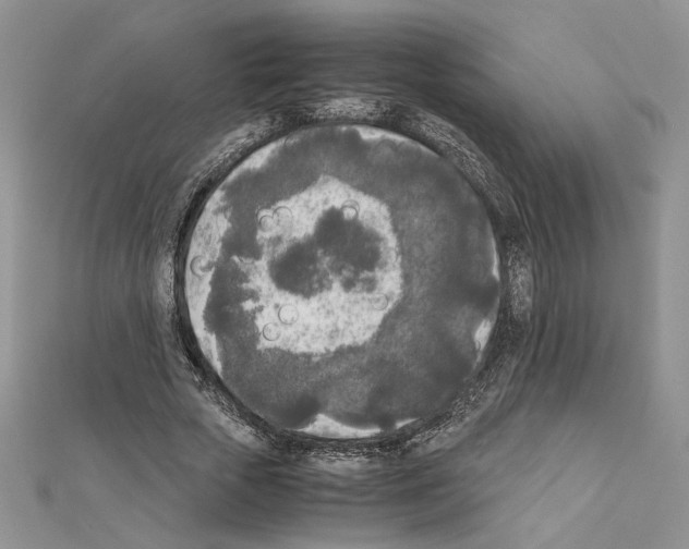 X0000111630729200908281133