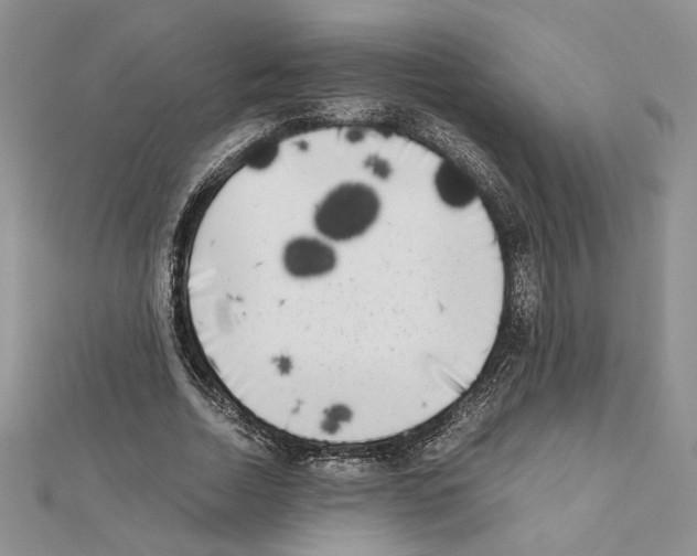 X0000111630730200908281133
