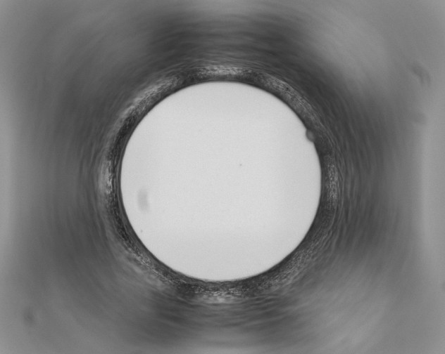 X0000111630731200908281133