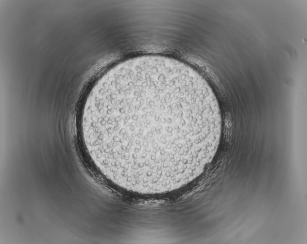X0000111630734200908281134