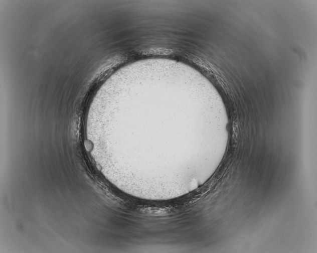 X0000111630735200908281134