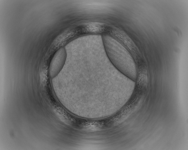 X0000111630736200908281134