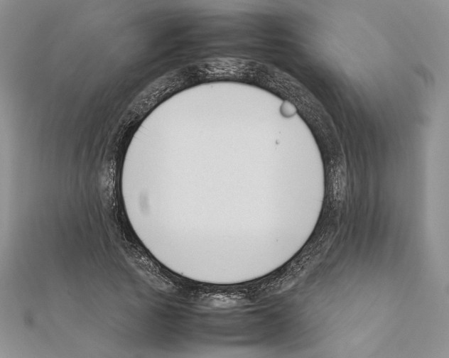 X0000111630737200908281134