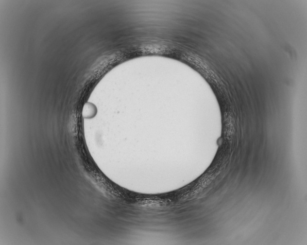 X0000111630738200908281134