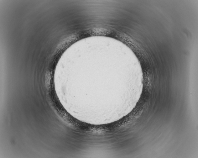 X0000111630742200908281134