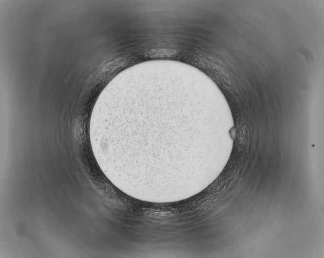 X0000111630743200908281134
