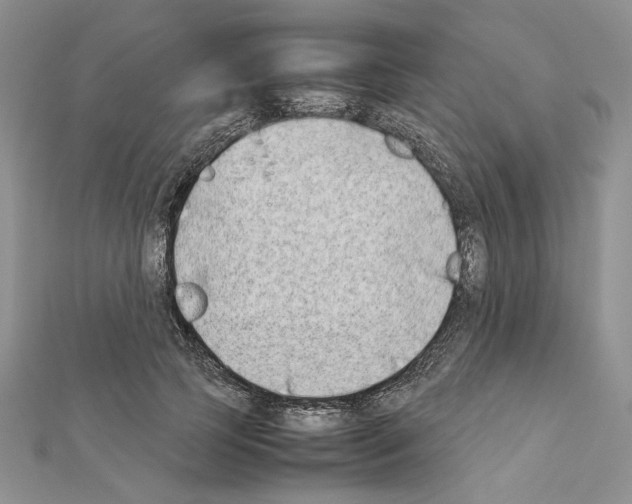 X0000111630745200908281134