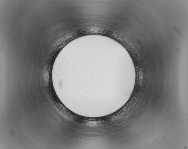 X0000111630746200908281134