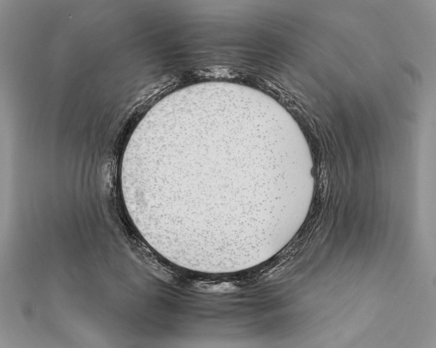 X0000111630747200908281134