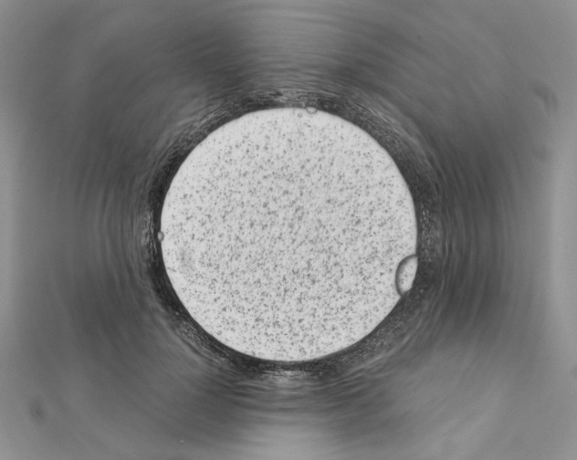 X0000111630748200908281134