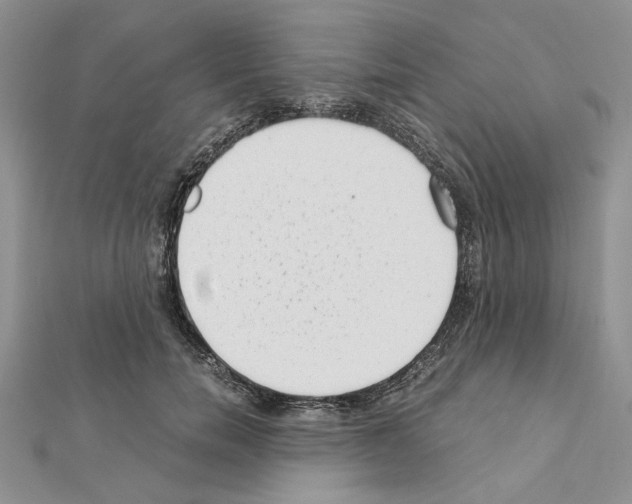 X0000111630750200908281134