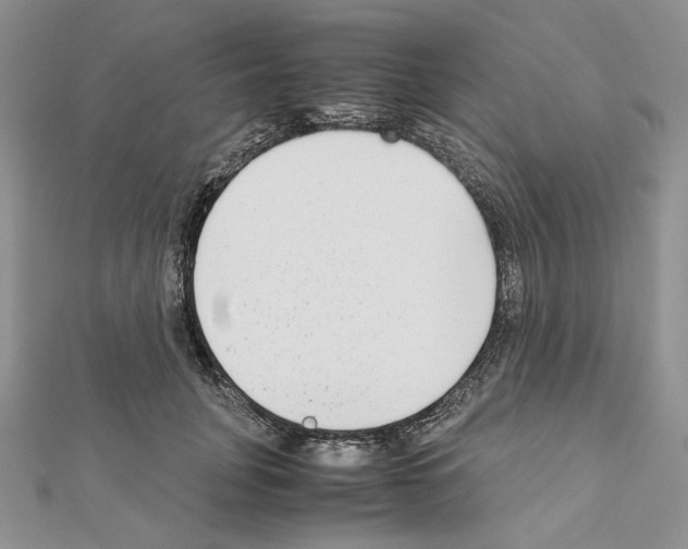 X0000111630751200908281134