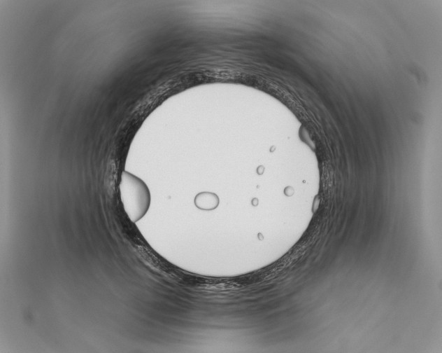 X0000111630752200908281134
