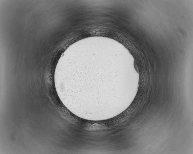 X0000111630755200908281134
