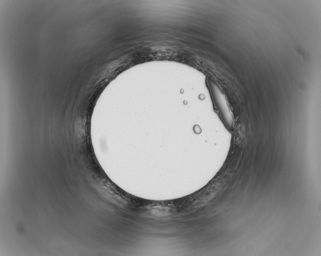 X0000111630756200908281134