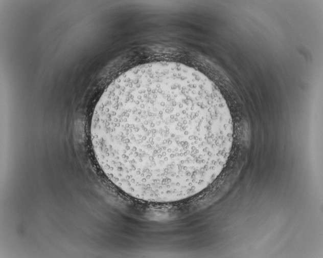 X0000111630757200908281134