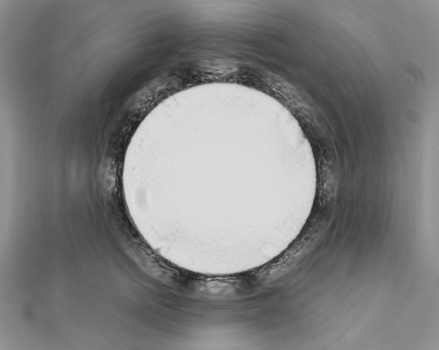 X0000111630758200908281134
