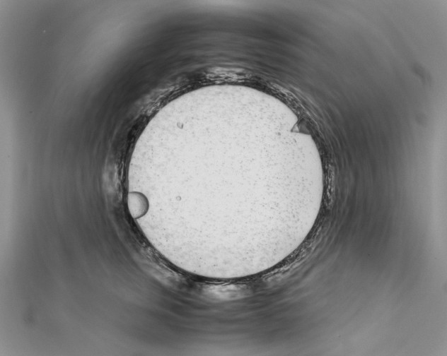 X0000111630759200908281134
