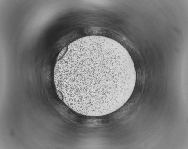 X0000111630760200908281134