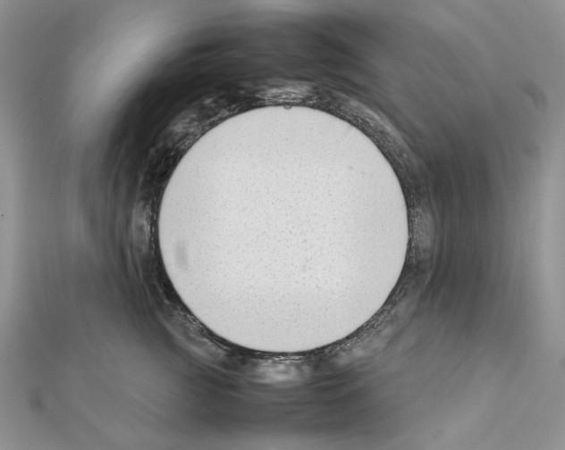 X0000111630761200908281134
