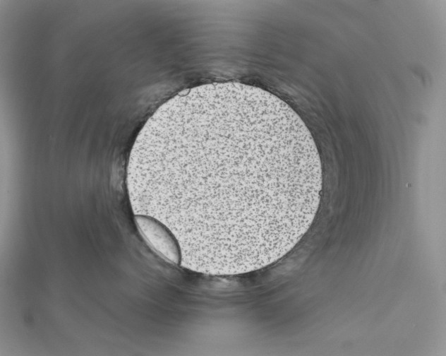X0000111630768200908281134