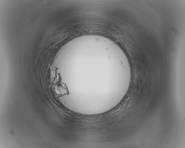 X0000111630769200908281133