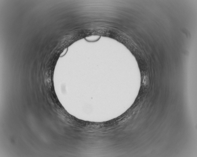 X0000111630771200908281133
