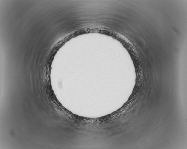 X0000111630775200908281133