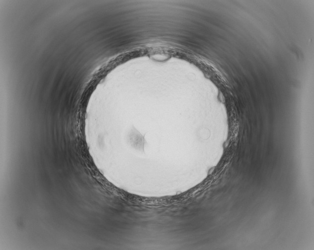 X0000111630776200908281133