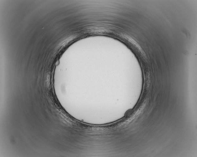 X0000111630777200908281133