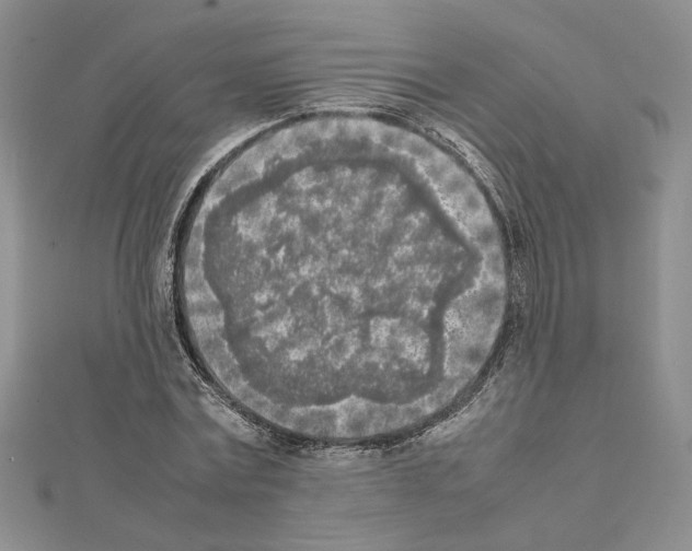 X0000111630779200908281133