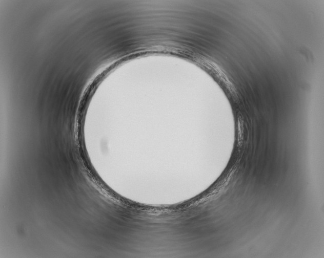 X0000111630780200908281133