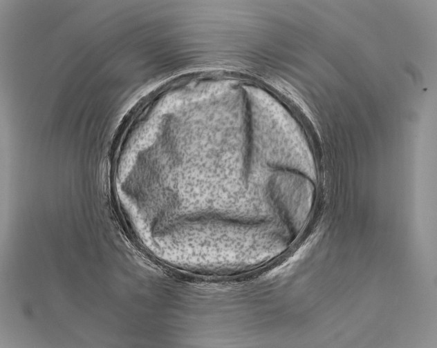 X0000111630781200908281133