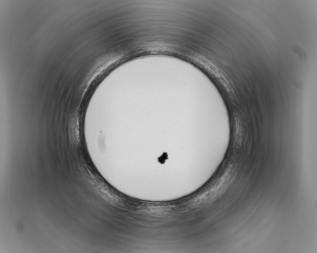 X0000111630782200908281133