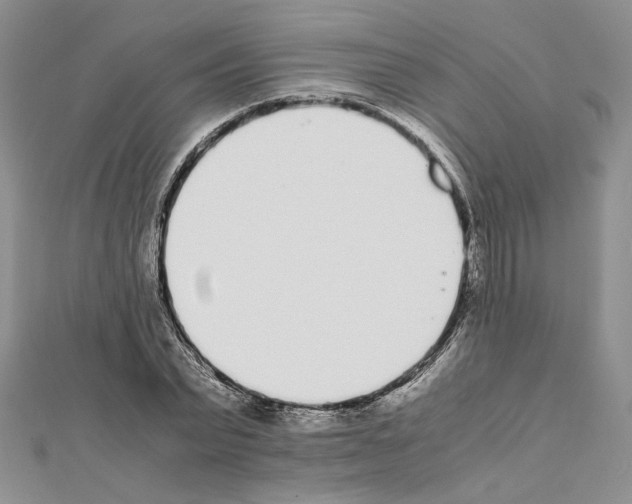X0000111630783200908281133