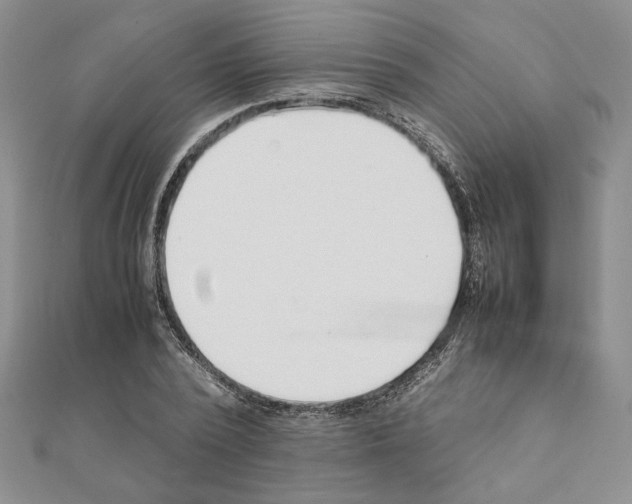 X0000111630784200908281133