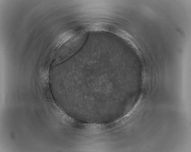 X0000111630785200908281133